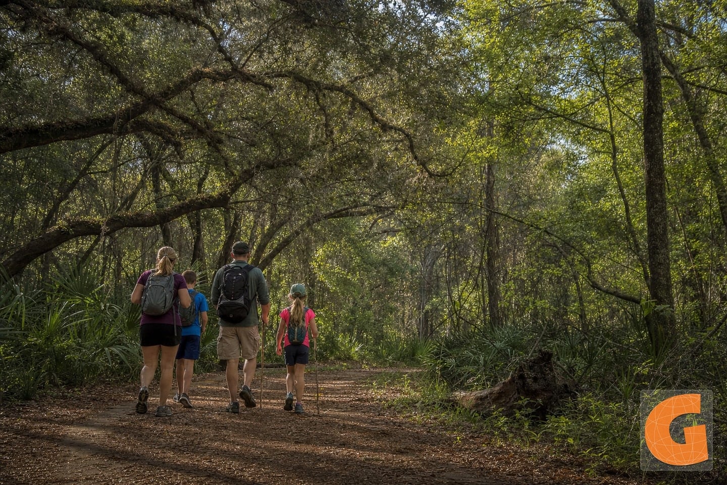 Withlacoochee State Trail Entdeckung 1