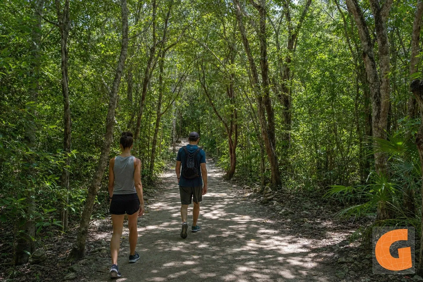 40-Minute Walk in Sian Ka’an Biosphere Reserve Gateway