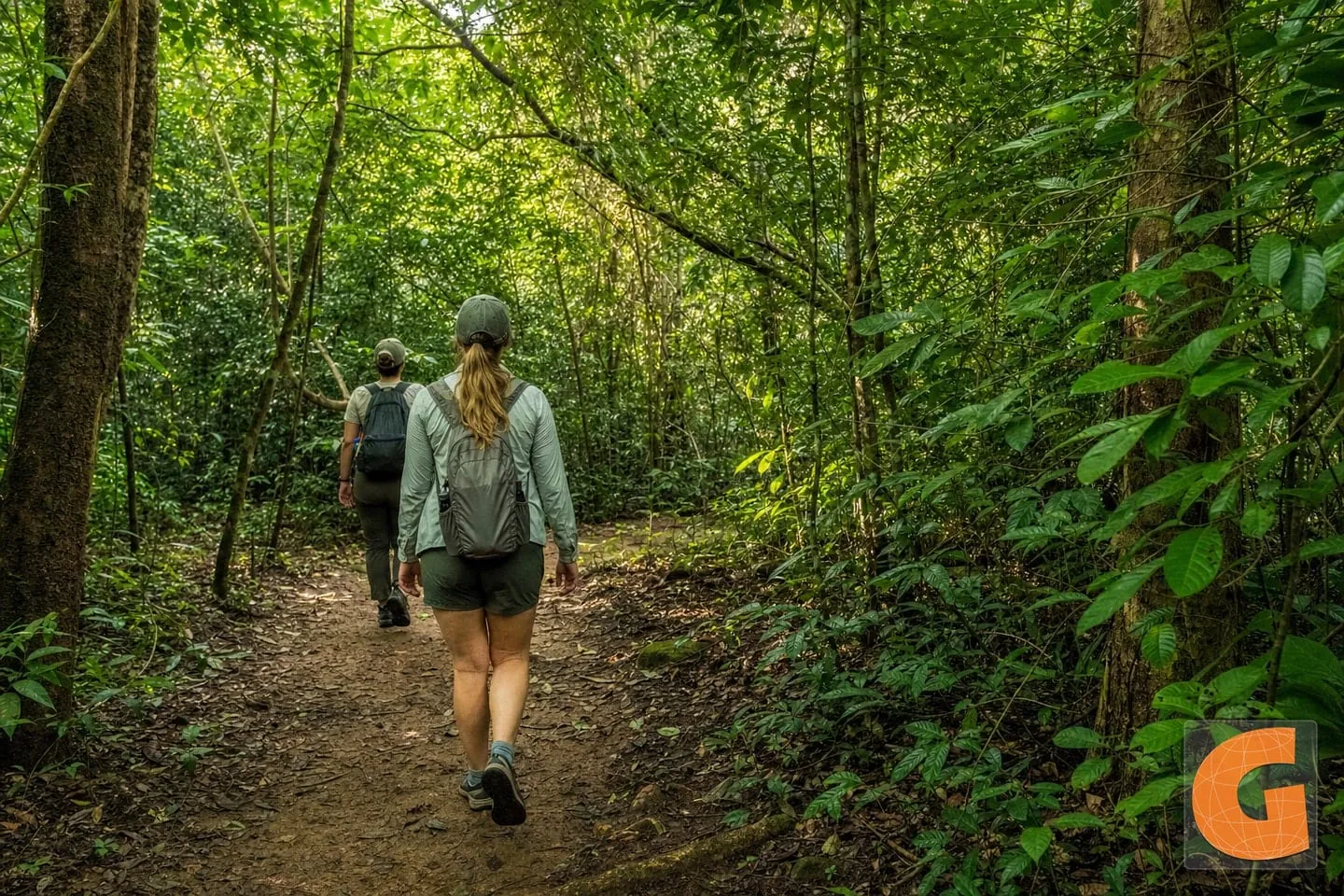 Payne’s Creek National Park Nature Walk