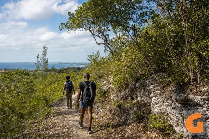Walking Route in Clifton Heritage National Park