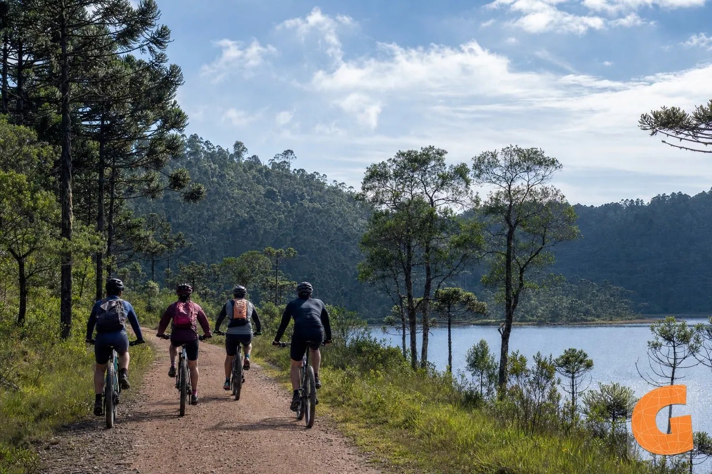 Ipanema Forest Heritage Loop