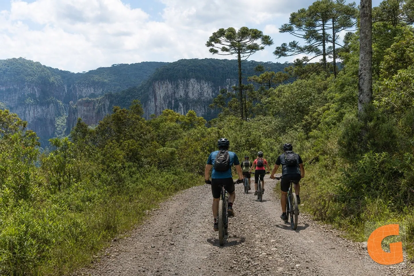 Irati National Forest Highlights Loop