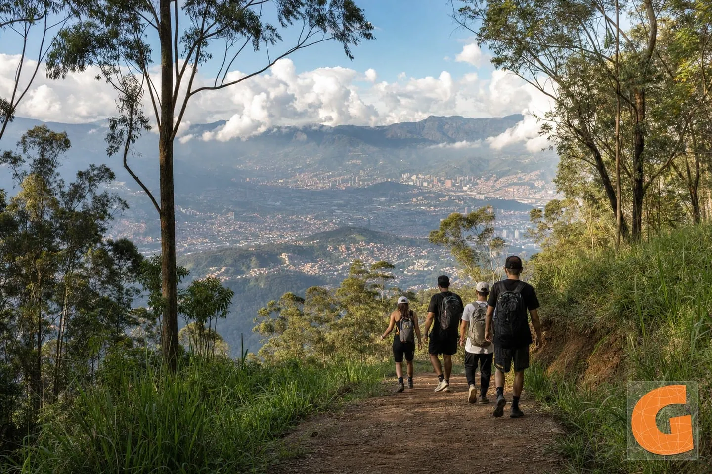 Volador Forest Lookout Loop
