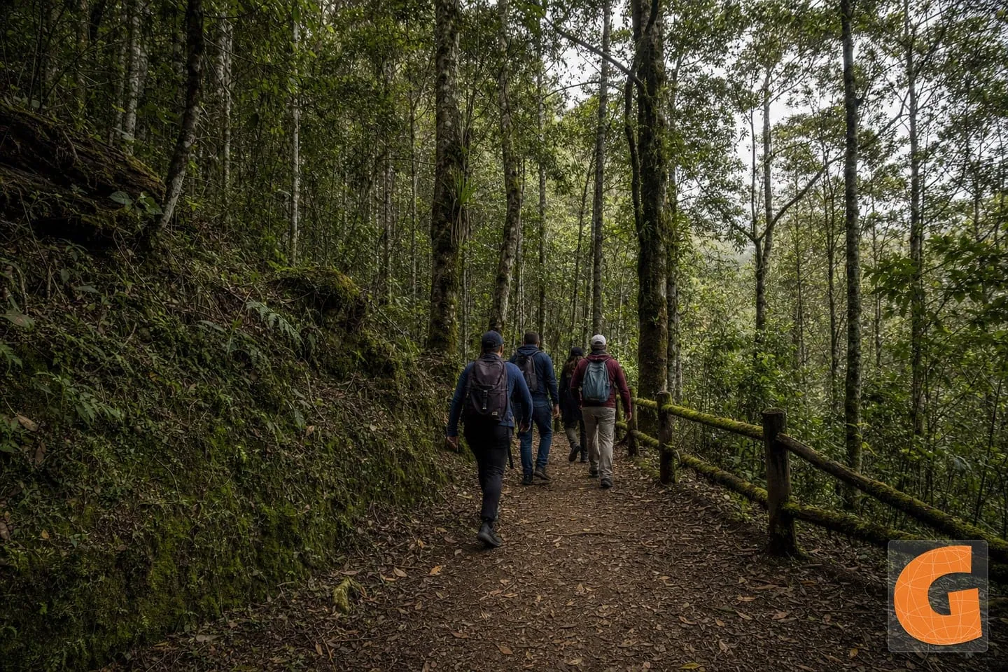 Arví Forest Discovery Loop
