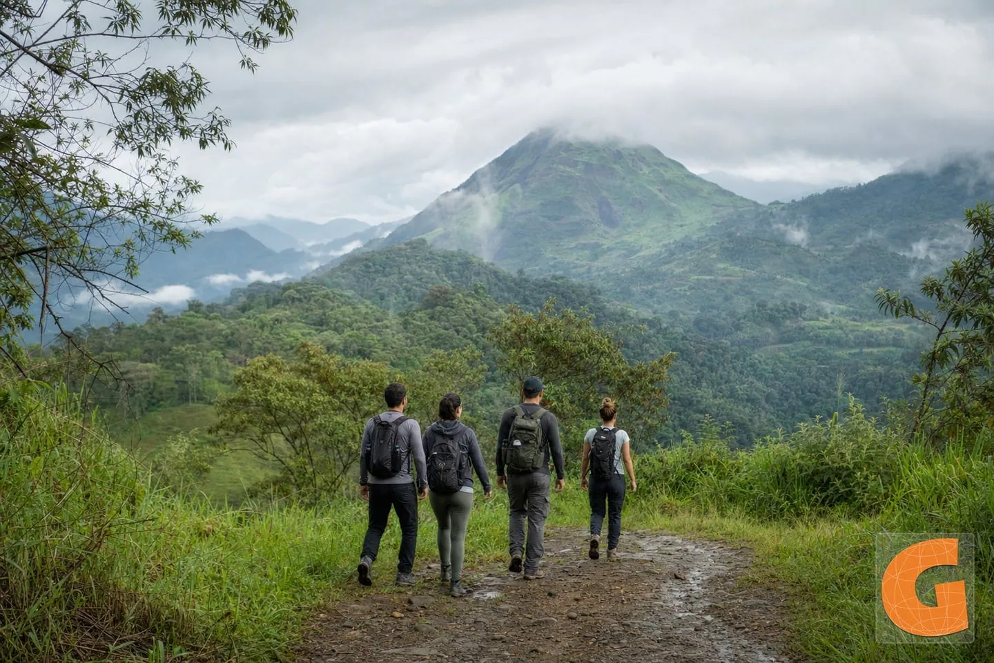 Walking Route in Otún Quimbaya Wildlife Sanctuary