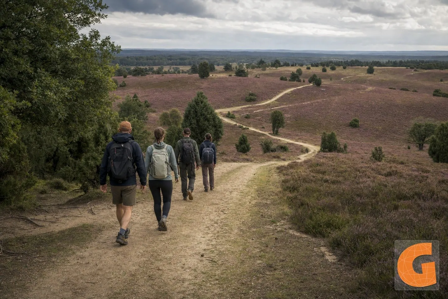 Walking Route in Lüneburg Heath at Niederhaverbeck