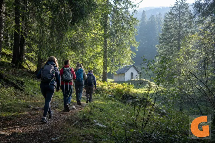 Cansiglio Forest Walking Route