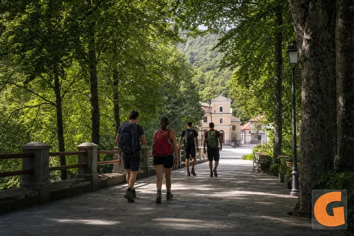 Gambarie Aspromonte Forest Gateway: Forest Walk