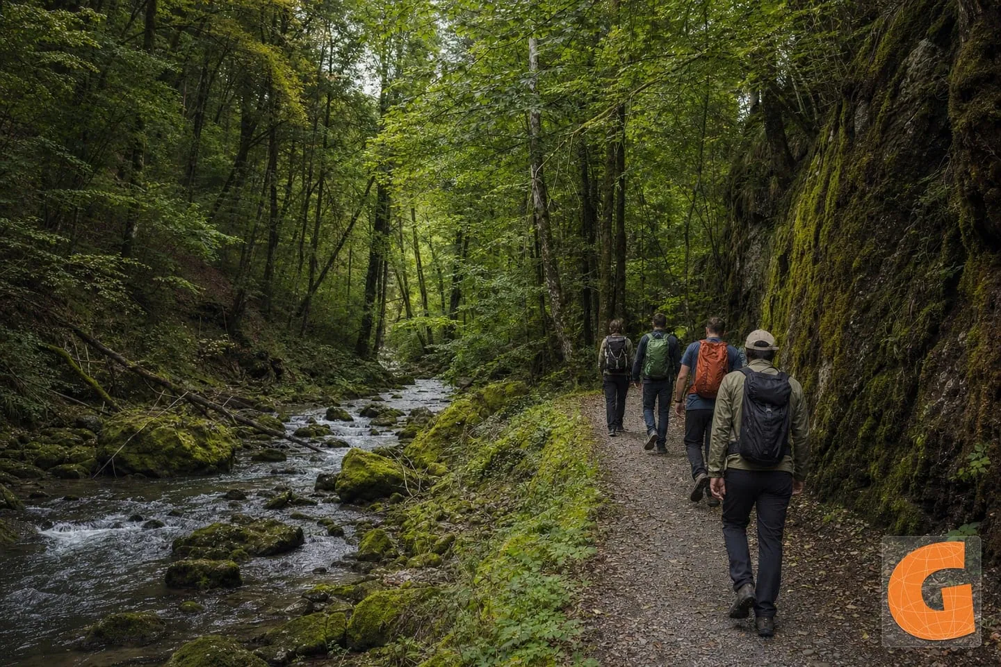 Short Nature Walk in Sihlwald Nature Reserve