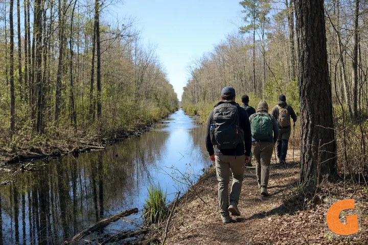 Walk at Great Dismal Swamp Washington Ditch
