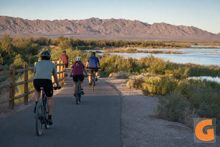 Colorado River Wetlands Ride